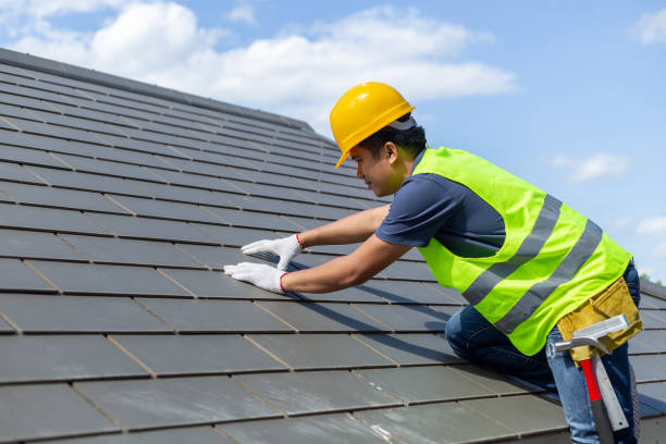 Best Residential Roofing Contractor  in Waverly, NE