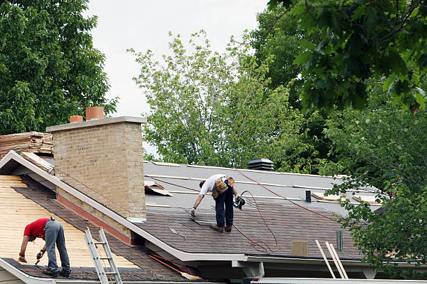 Best Best Roofing Contractors  in Waverly, NE